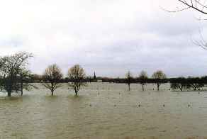 Groeten uit Geulle: overstromingen van de Maas in 1993/1995